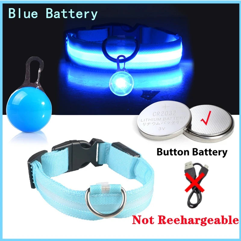 LED Dog Collar USB