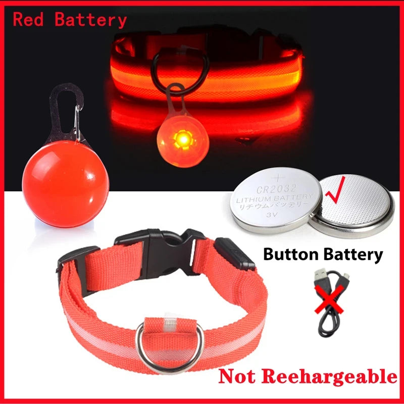 LED Dog Collar USB