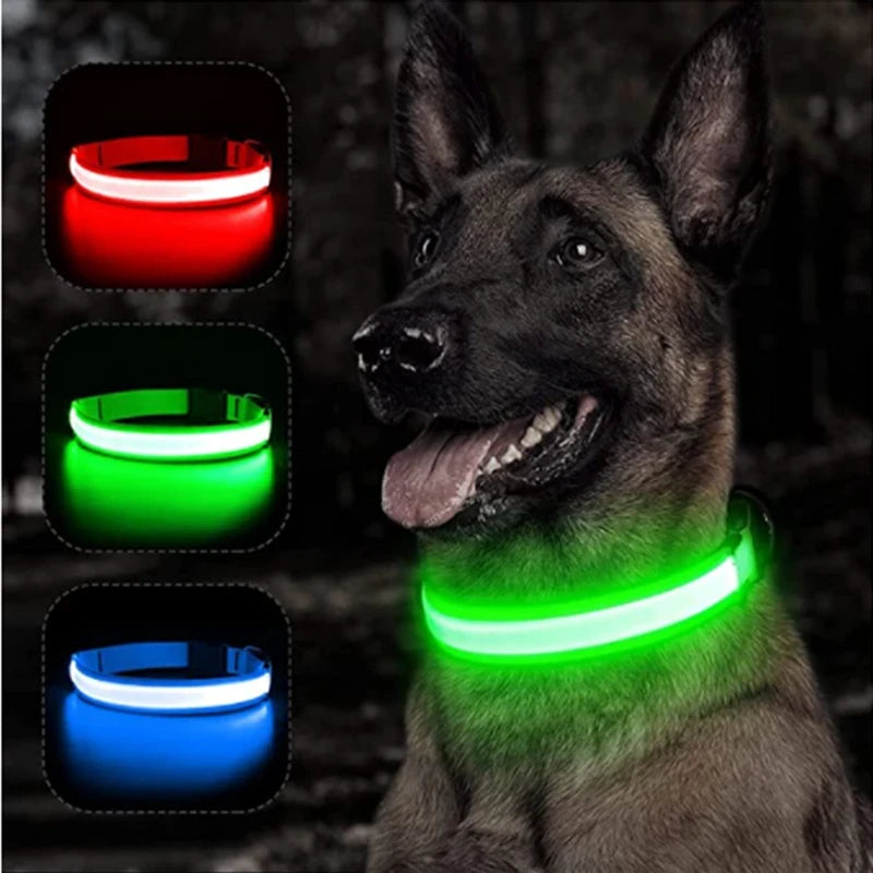LED Dog Collar USB