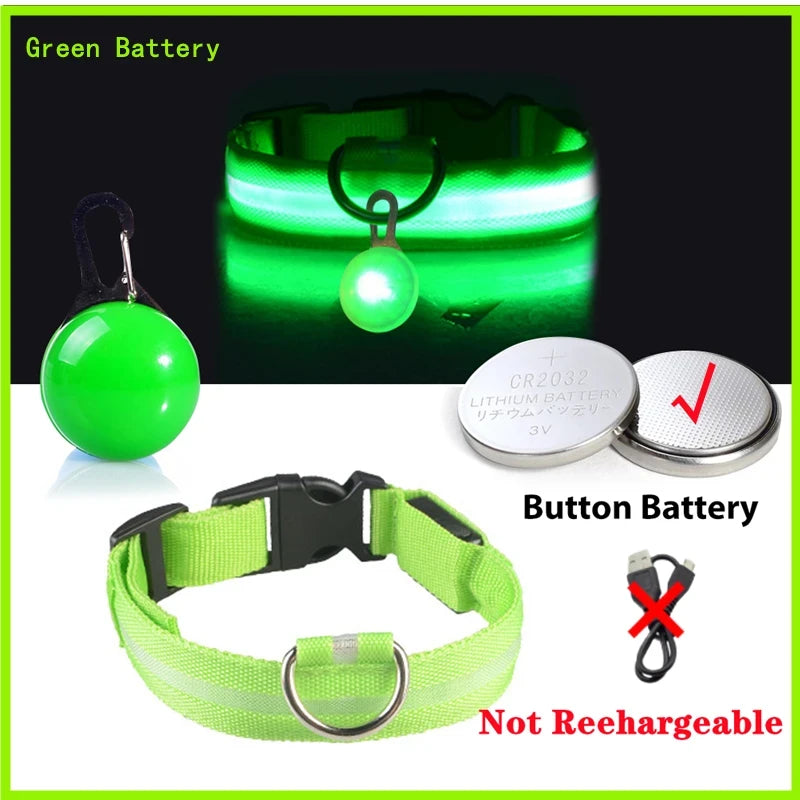 LED Dog Collar USB
