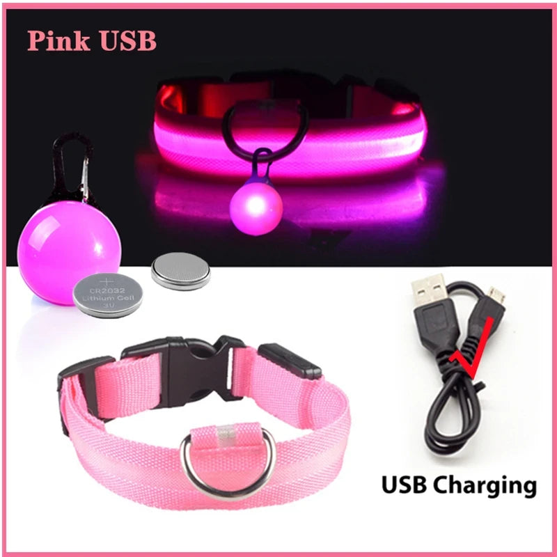 LED Dog Collar USB