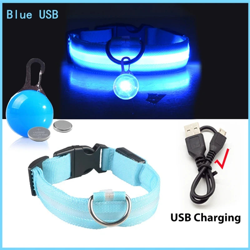 LED Dog Collar USB