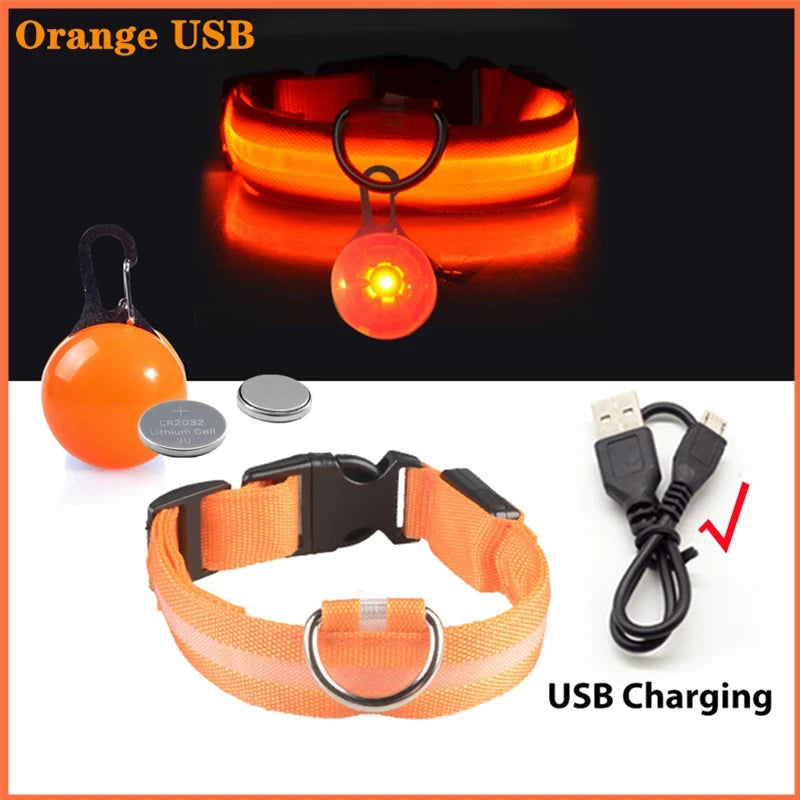 LED Dog Collar USB
