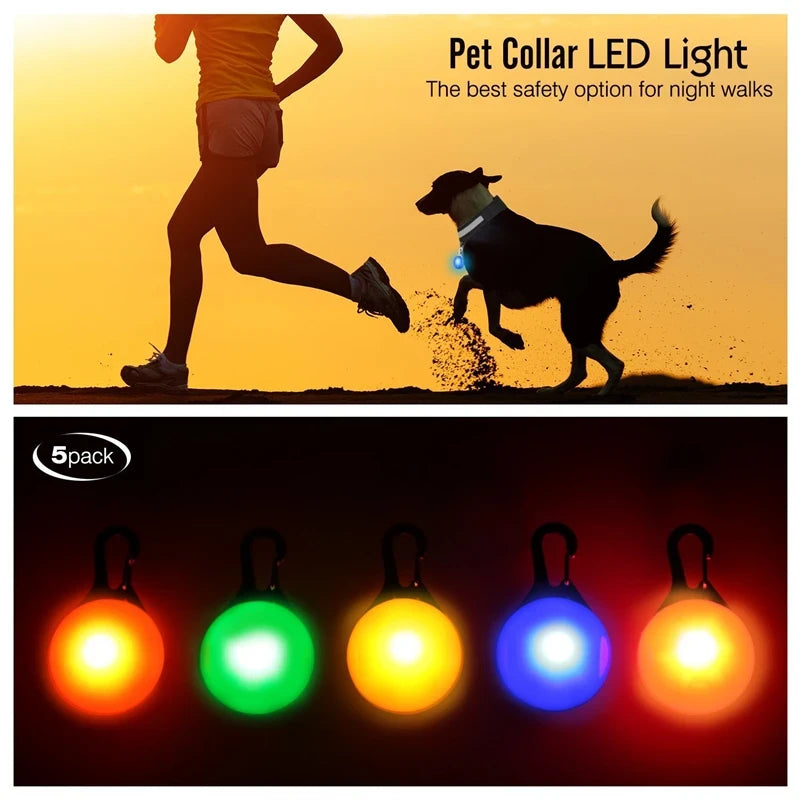 LED Dog Collar USB