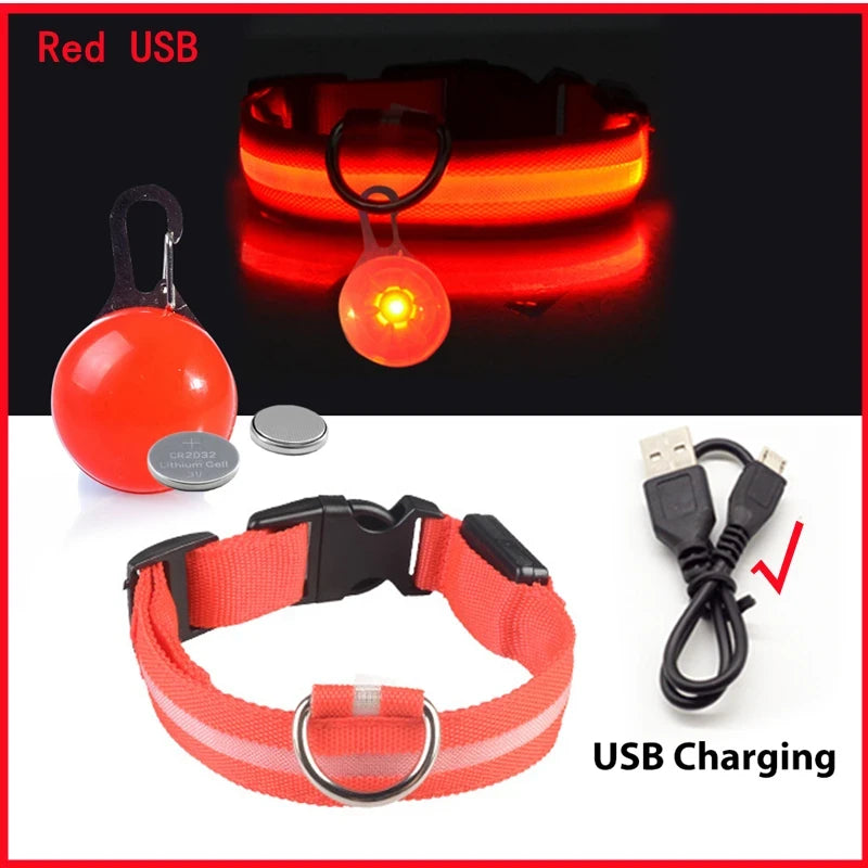 LED Dog Collar USB