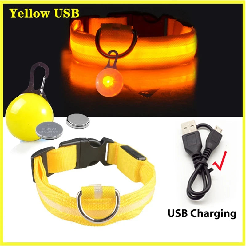 LED Dog Collar USB