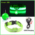 LED Dog Collar USB