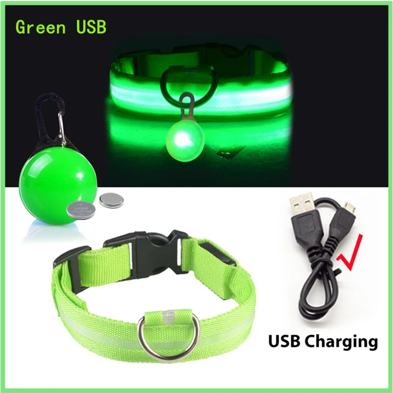 LED Dog Collar USB