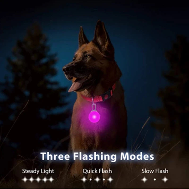 LED Dog Collar USB