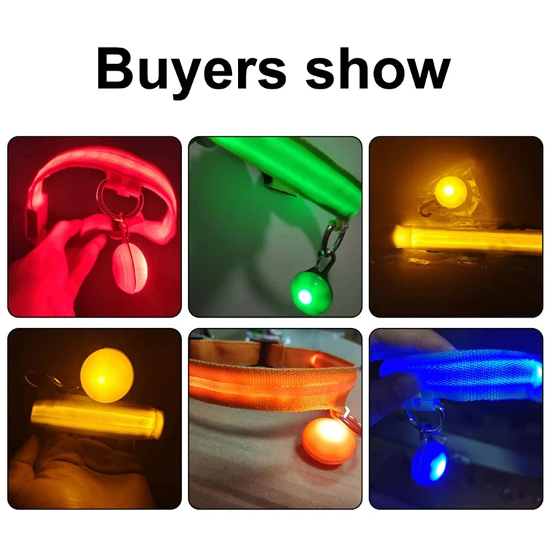 LED Dog Collar USB