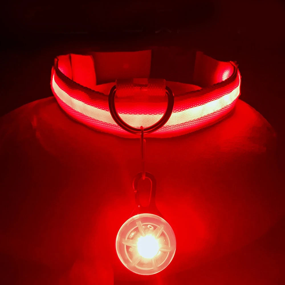 LED Dog Collar USB